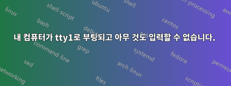 내 컴퓨터가 tty1로 부팅되고 아무 것도 입력할 수 없습니다.