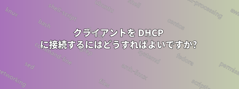 クライアントを DHCP に接続するにはどうすればよいですか?