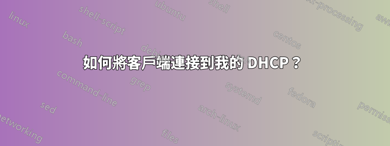 如何將客戶端連接到我的 DHCP？