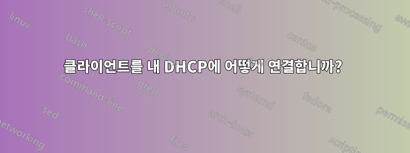 클라이언트를 내 DHCP에 어떻게 연결합니까?