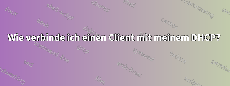 Wie verbinde ich einen Client mit meinem DHCP?