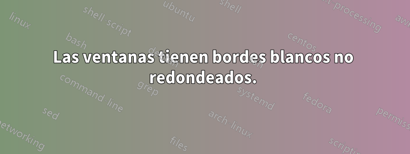 Las ventanas tienen bordes blancos no redondeados.