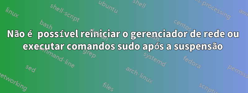 Não é possível reiniciar o gerenciador de rede ou executar comandos sudo após a suspensão