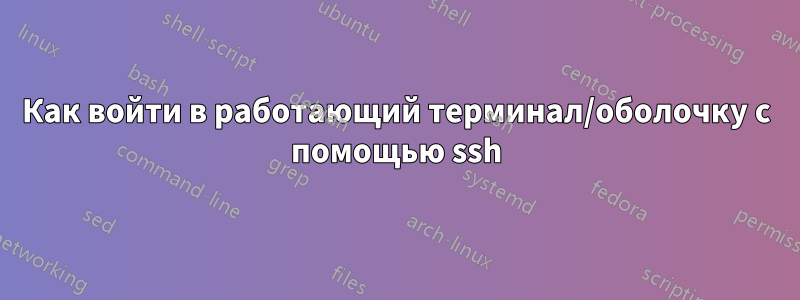 Как войти в работающий терминал/оболочку с помощью ssh