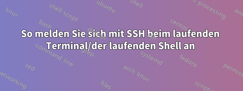 So melden Sie sich mit SSH beim laufenden Terminal/der laufenden Shell an