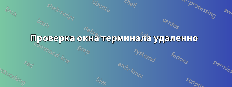 Проверка окна терминала удаленно 