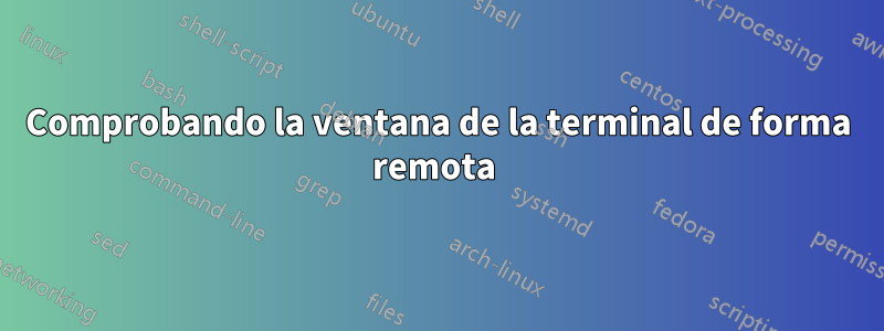 Comprobando la ventana de la terminal de forma remota 