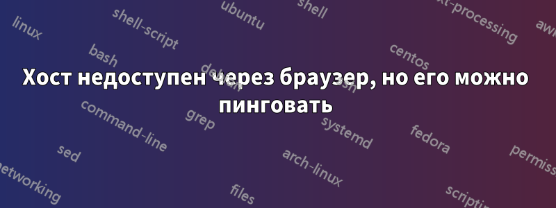 Хост недоступен через браузер, но его можно пинговать