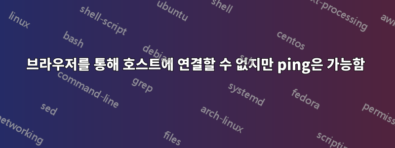 브라우저를 통해 호스트에 연결할 수 없지만 ping은 가능함