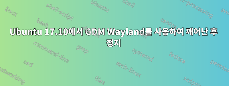 Ubuntu 17.10에서 GDM Wayland를 사용하여 깨어난 후 정지