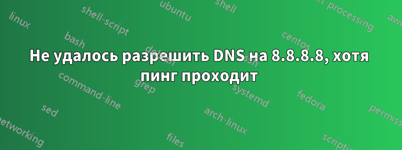 Не удалось разрешить DNS на 8.8.8.8, хотя пинг проходит