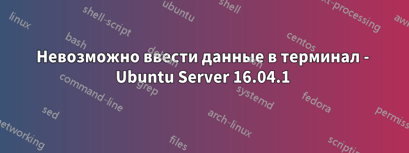 Невозможно ввести данные в терминал - Ubuntu Server 16.04.1