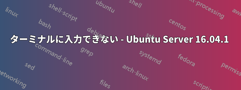 ターミナルに入力できない - Ubuntu Server 16.04.1