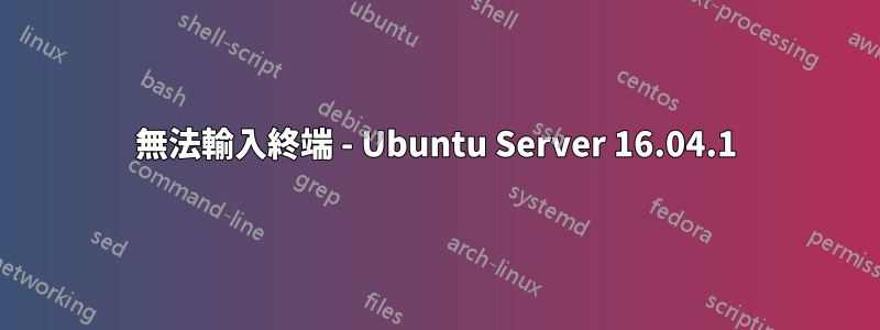 無法輸入終端 - Ubuntu Server 16.04.1