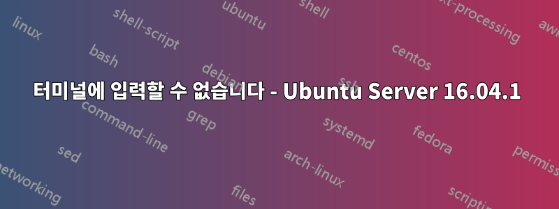 터미널에 입력할 수 없습니다 - Ubuntu Server 16.04.1