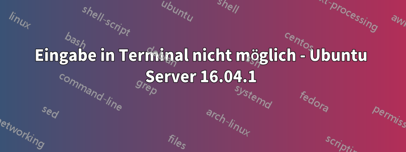 Eingabe in Terminal nicht möglich - Ubuntu Server 16.04.1