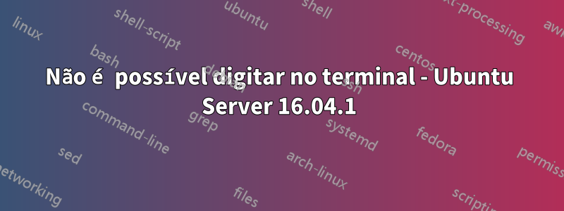 Não é possível digitar no terminal - Ubuntu Server 16.04.1