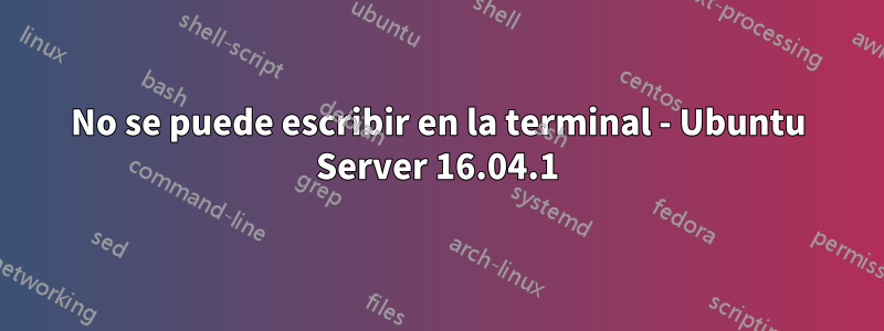 No se puede escribir en la terminal - Ubuntu Server 16.04.1