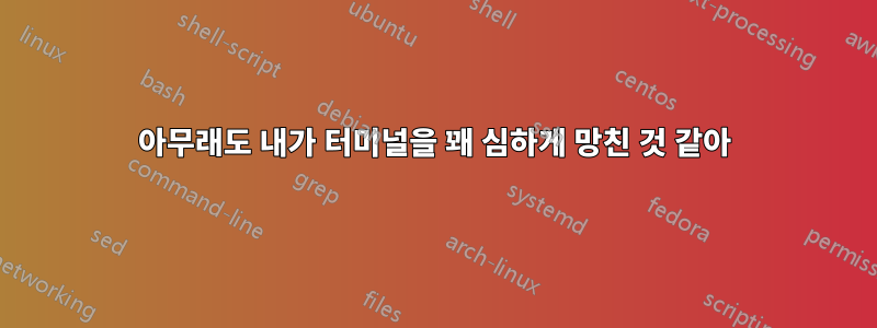 아무래도 내가 터미널을 꽤 심하게 망친 것 같아