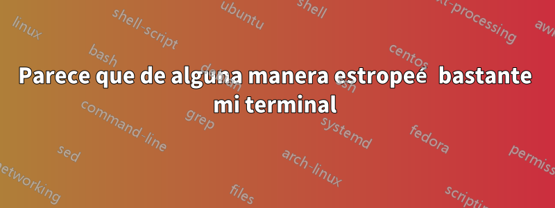 Parece que de alguna manera estropeé bastante mi terminal