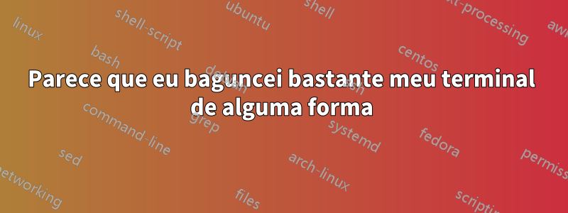 Parece que eu baguncei bastante meu terminal de alguma forma