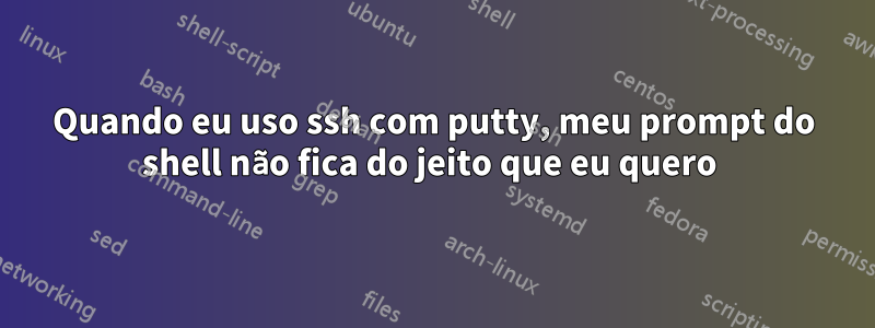 Quando eu uso ssh com putty, meu prompt do shell não fica do jeito que eu quero 