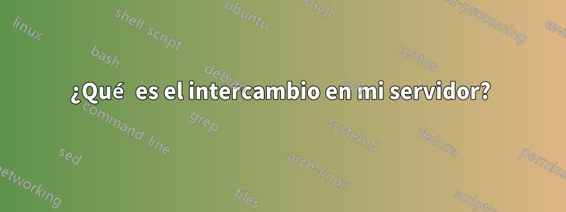 ¿Qué es el intercambio en mi servidor?