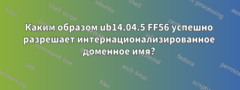 Каким образом ub14.04.5 FF56 успешно разрешает интернационализированное доменное имя?