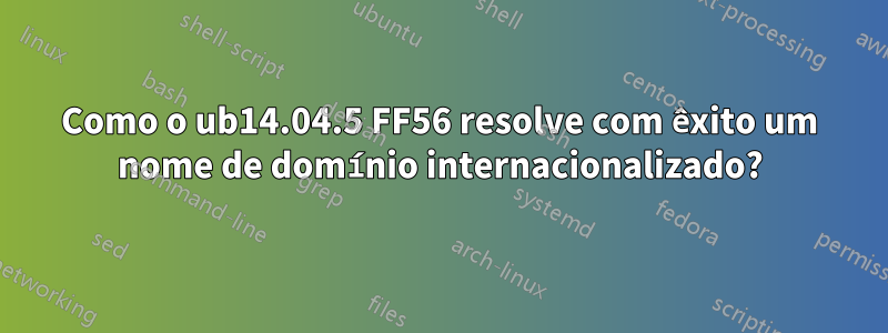 Como o ub14.04.5 FF56 resolve com êxito um nome de domínio internacionalizado?