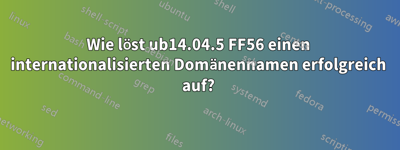 Wie löst ub14.04.5 FF56 einen internationalisierten Domänennamen erfolgreich auf?