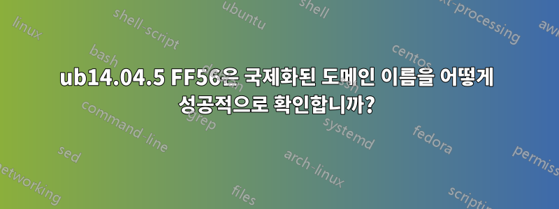 ub14.04.5 FF56은 국제화된 도메인 이름을 어떻게 성공적으로 확인합니까?