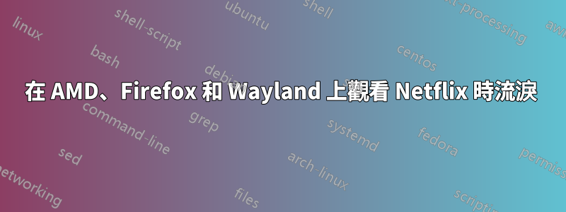 在 AMD、Firefox 和 Wayland 上觀看 Netflix 時流淚