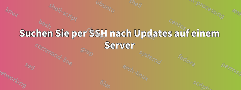 Suchen Sie per SSH nach Updates auf einem Server