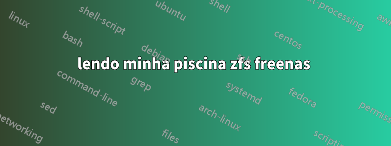 lendo minha piscina zfs freenas