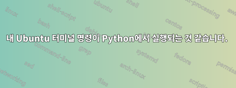 내 Ubuntu 터미널 명령이 Python에서 실행되는 것 같습니다.