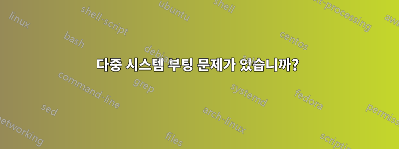 다중 시스템 부팅 문제가 있습니까?