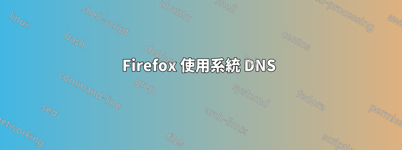 Firefox 使用系統 DNS