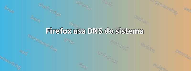 Firefox usa DNS do sistema