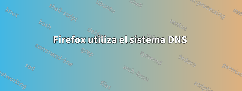 Firefox utiliza el sistema DNS