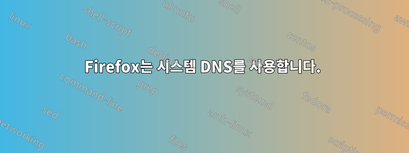 Firefox는 시스템 DNS를 사용합니다.