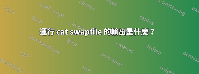 運行 cat swapfile 的輸出是什麼？ 