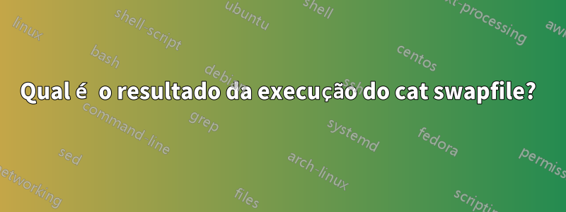 Qual é o resultado da execução do cat swapfile? 