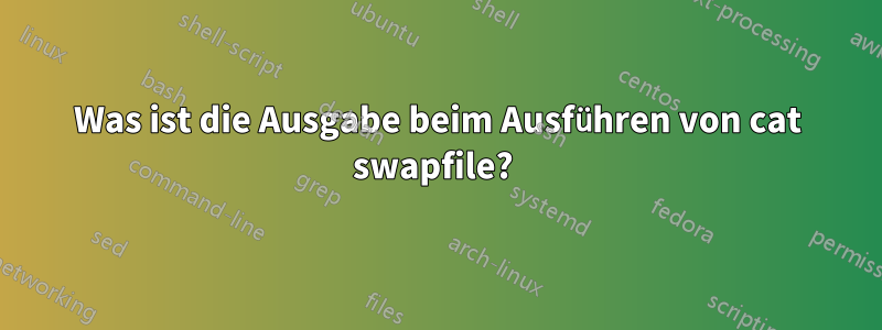 Was ist die Ausgabe beim Ausführen von cat swapfile? 