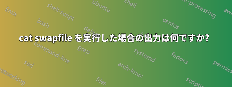 cat swapfile を実行した場合の出力は何ですか? 