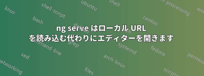 ng serve はローカル URL を読み込む代わりにエディターを開きます