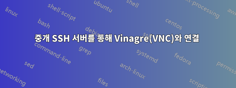 중개 SSH 서버를 통해 Vinagre(VNC)와 연결