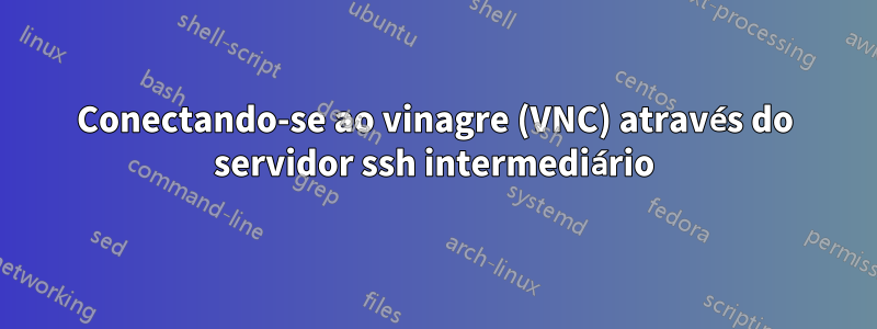 Conectando-se ao vinagre (VNC) através do servidor ssh intermediário