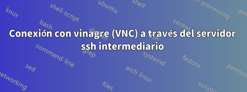 Conexión con vinagre (VNC) a través del servidor ssh intermediario