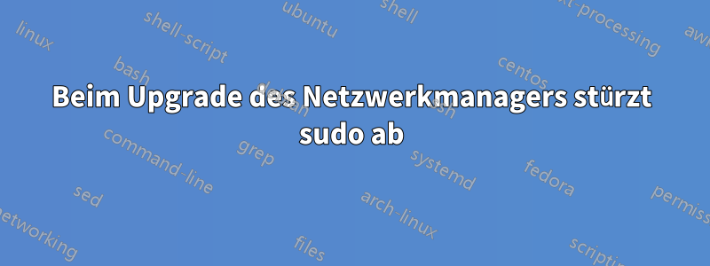 Beim Upgrade des Netzwerkmanagers stürzt sudo ab