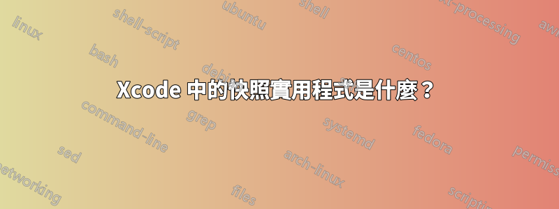 Xcode 中的快照實用程式是什麼？